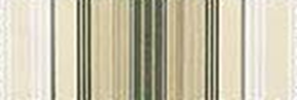 5011 - 7 - Tan - Green Fancy.png 5011 - 7 - Tan - Green Fancy.png